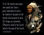 indian animal wisdom.jpg